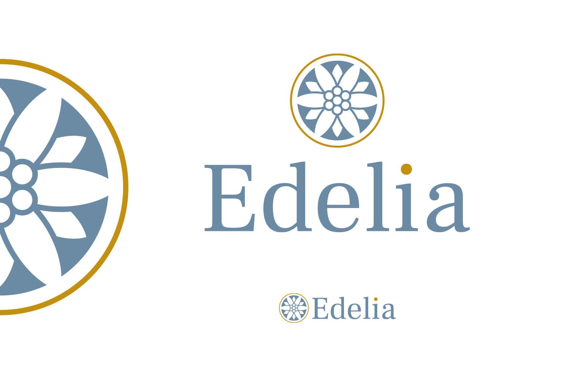 creation logo pas cher graphiste independant bordeaux infographiste freelance